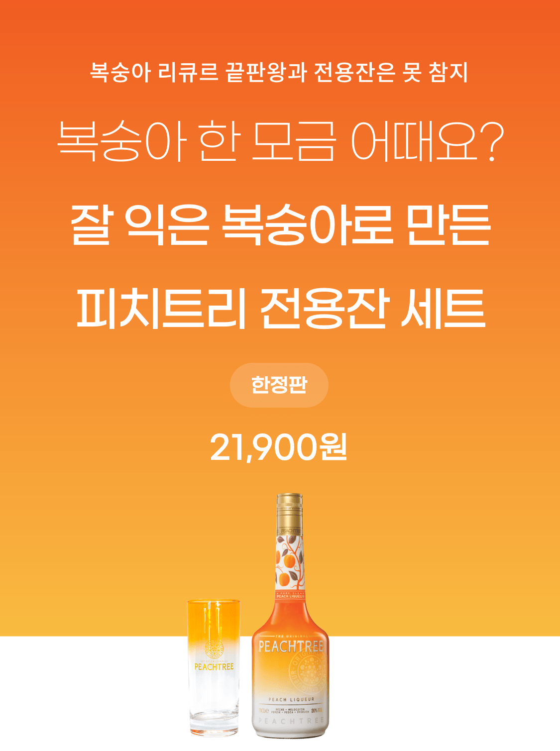 디카이퍼 피치트리 전용잔 세트