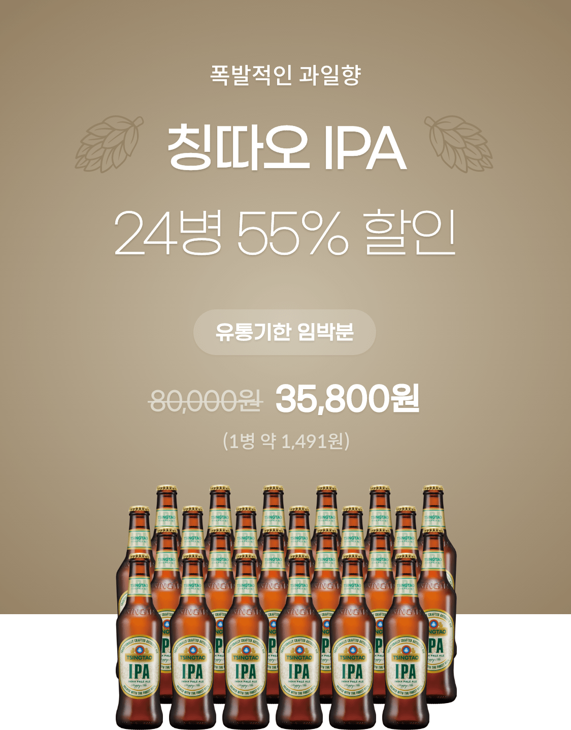칭따오 IPA 24병