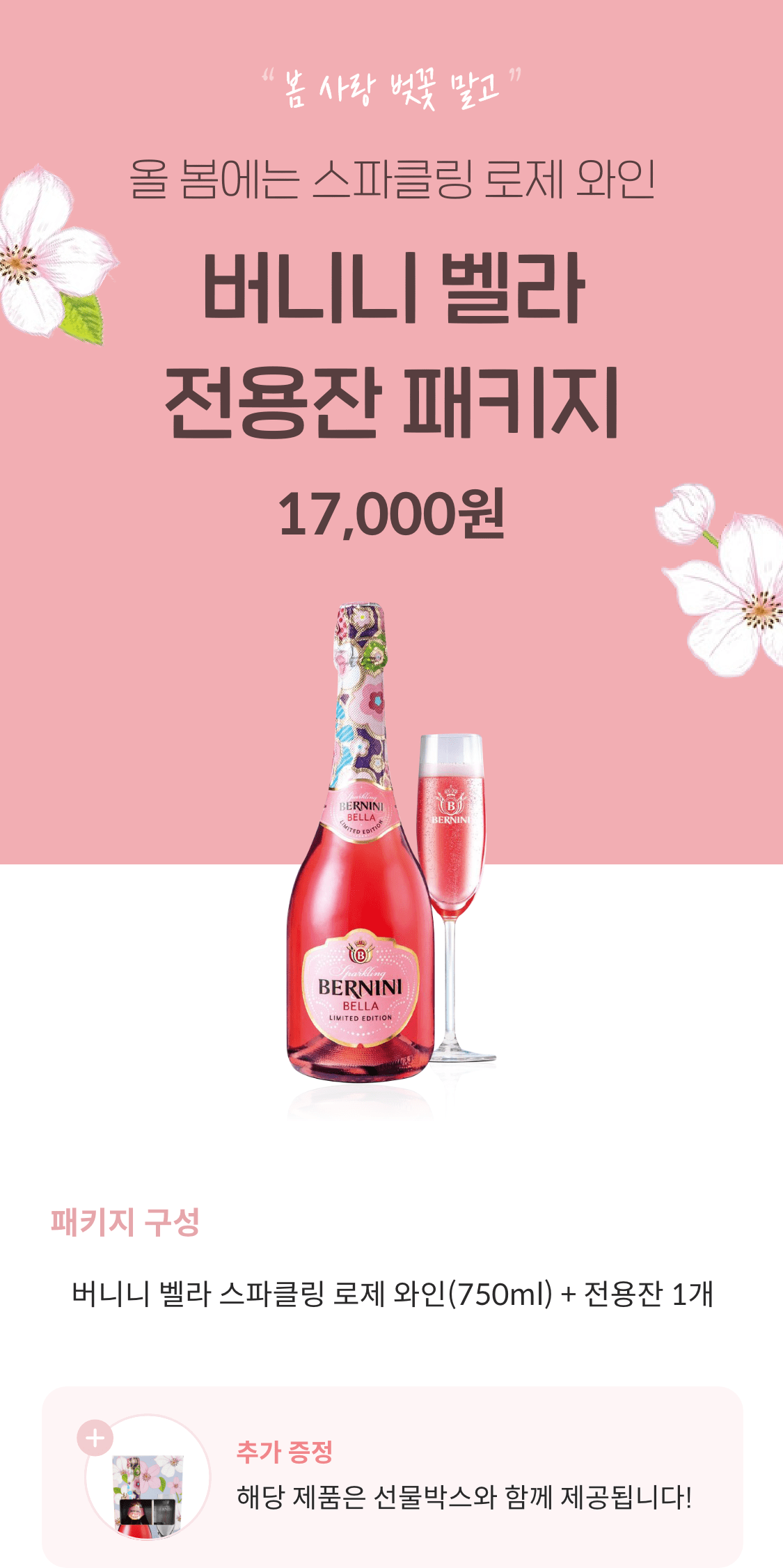버니니 벨라 전용잔 패키지